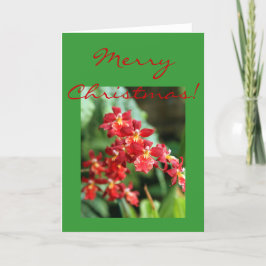 Tarjeta Festiva Orquídeas rojas