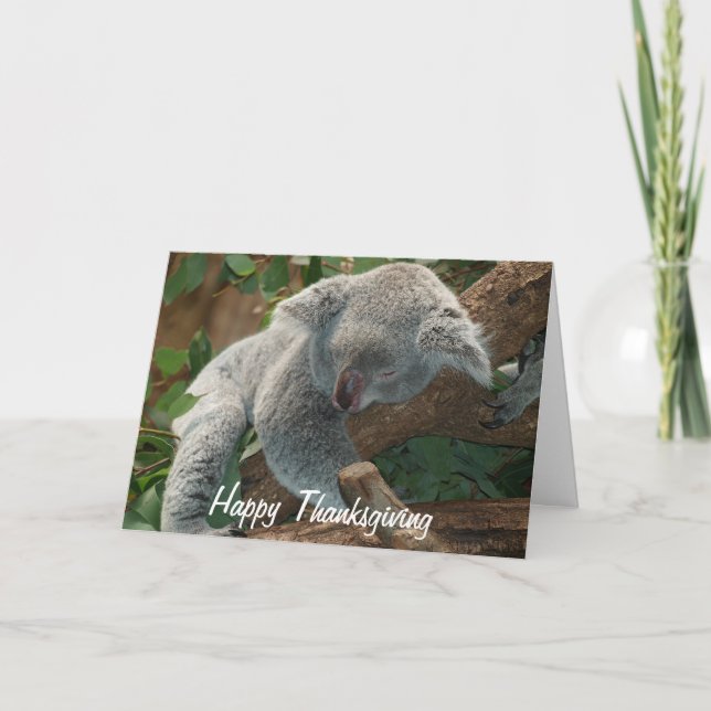 Tarjeta Festiva Oso de koala Napping de la acción de gracias feliz (Anverso)