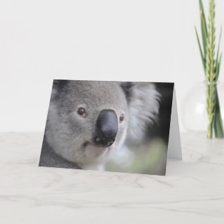 Tarjeta Festiva Oso Koala