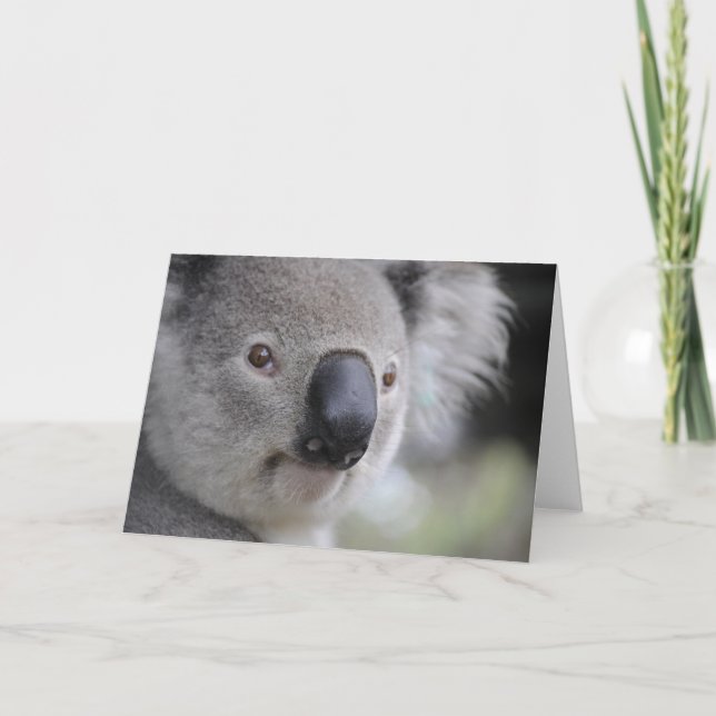 Tarjeta Festiva Oso Koala (Anverso)