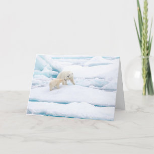 Tarjeta Festiva Oso polar con cachorro