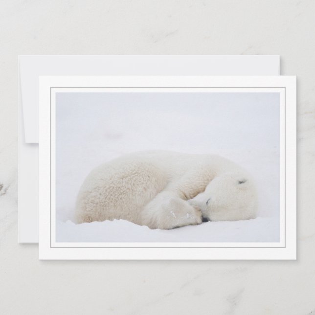 Tarjeta Festiva Oso polar durmiendo (Anverso)