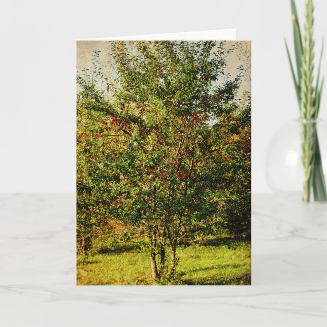 Tarjeta Festiva Otoño de Hidromasaje (Anverso)