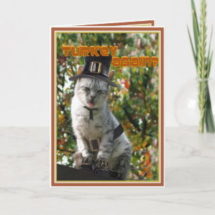 Tarjeta Festiva ¿OTRO PAVO? Gato Peregrino de Acción de Gracias