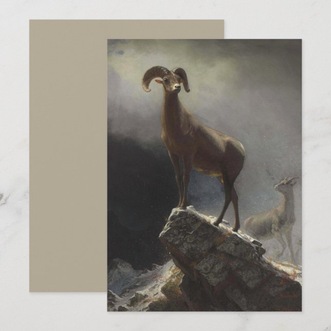 Tarjeta Festiva Oveja de montaña rocosa por Albert Bierstadt (Anverso / Reverso)