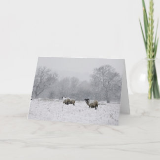 Tarjeta Festiva Oveja en un campo nevado