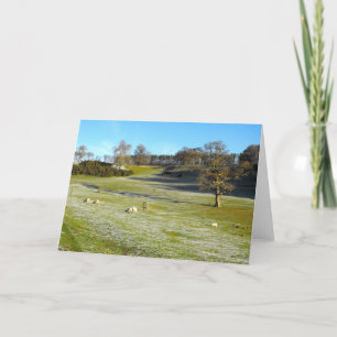 Tarjeta Festiva Oveja en un valle helado