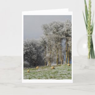 Tarjeta Festiva Oveja en una colina helada