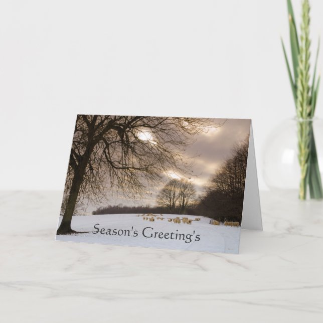 Tarjeta Festiva Ovejas (Anverso)