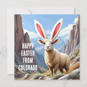Tarjeta Festiva Ovejas de bighorn de Colorado con el oído de un co