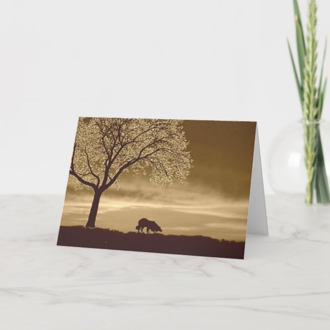 Tarjeta Festiva Ovejas en el horizonte~Navidades de los Collie fro (Anverso)