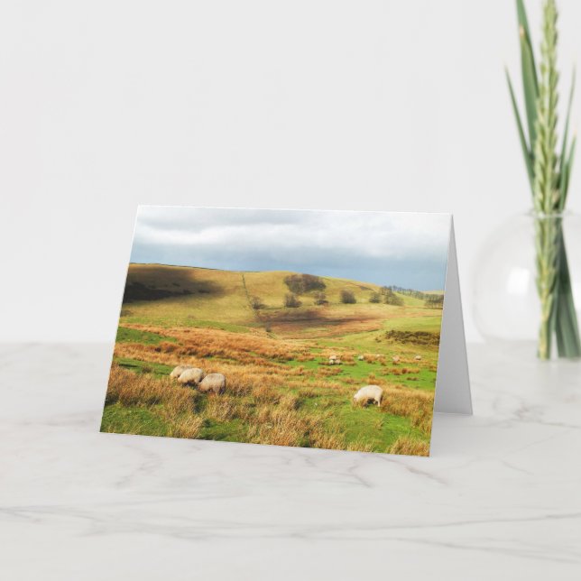 Tarjeta Festiva Ovejas en el Peak District (Anverso)