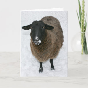 Tarjeta Festiva Ovejas en nieve