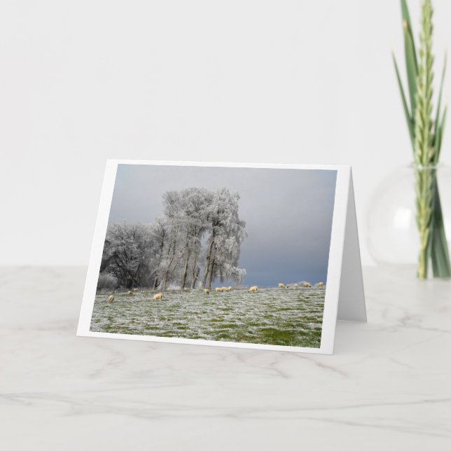 Tarjeta Festiva Ovejas en una colina helada (Anverso)