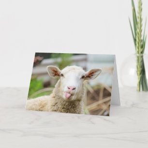 Tarjeta Festiva Ovejas muestran la lengua