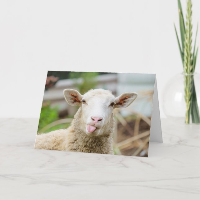 Tarjeta Festiva Ovejas muestran la lengua (Anverso)