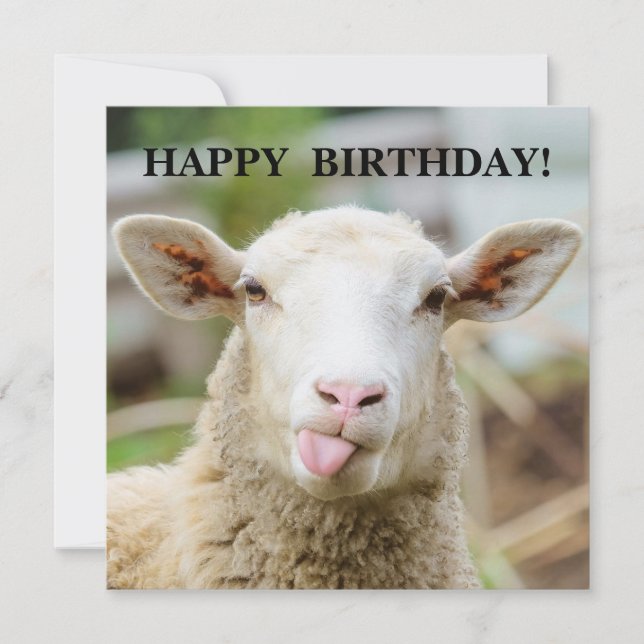 Tarjeta Festiva Ovejas muestran la lengua (Anverso)