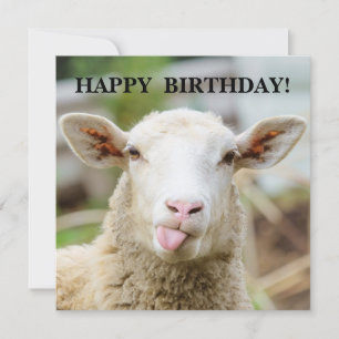 Tarjeta Festiva Ovejas muestran la lengua