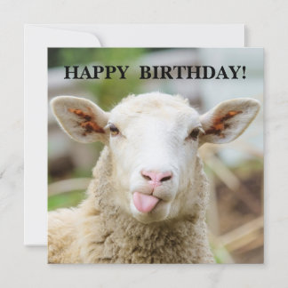 Tarjeta Festiva Ovejas muestran la lengua