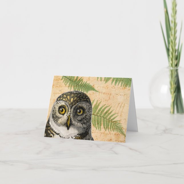 Tarjeta Festiva Owl and Ferns (Anverso)