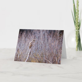 Tarjeta Festiva Owl le desea Felices Fiestas