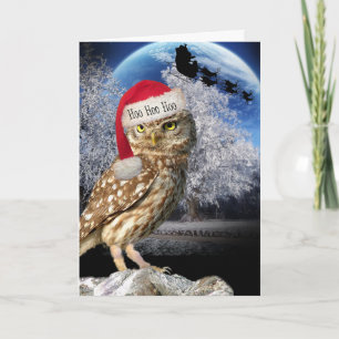 Tarjeta Festiva Owl Santa Card