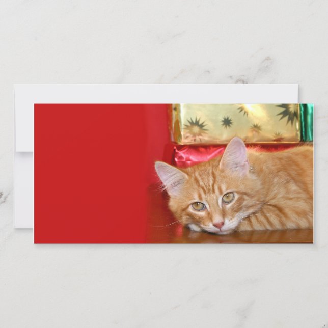 Tarjeta Festiva paciencia de los navidades (Anverso)