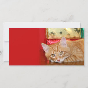 Tarjeta Festiva paciencia de los navidades