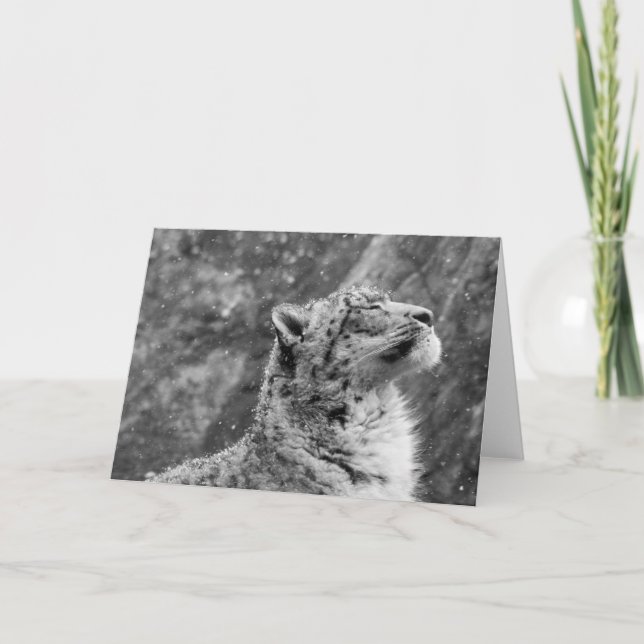 Tarjeta Festiva Pacífico Leopardo de la Nieve (Anverso)