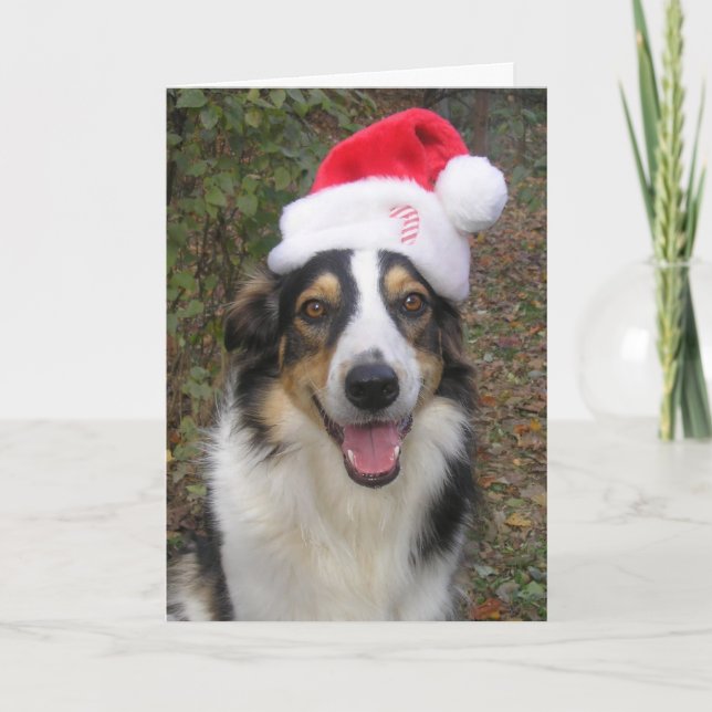 Tarjeta Festiva ¡Paige jugando a Santa! (Anverso)