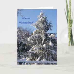 Tarjeta Festiva País de las maravillas del invierno