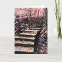 paisaje de ensueño de las escaleras