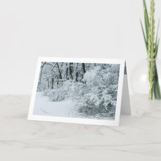 Tarjeta Festiva Paisaje invernal - Follaje cubierto de nieve