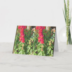 Tarjeta Festiva Paisaje SKY Flujos de agua Lago Pond GIFTS diverti