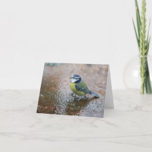 Tarjeta Festiva Pajarito azul en la lluvia