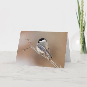 Tarjeta Festiva Pájaro cardinal en invierno