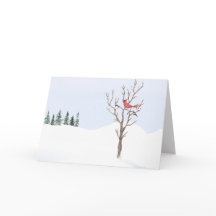 Pájaro Cardinal Rojo Paz En La Tierra Familia