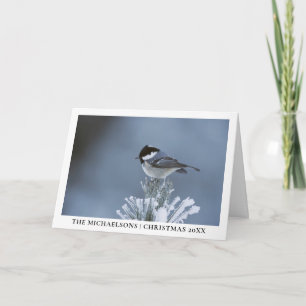 Tarjeta Festiva Pájaro invernal encaramado en rama de pino escarc