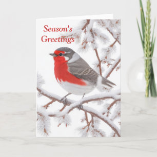 Tarjeta Festiva Pájaro Robin rojo en la nieve