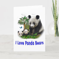 panda beras