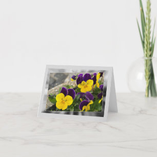 Tarjeta Festiva Pansias violetas amarillas