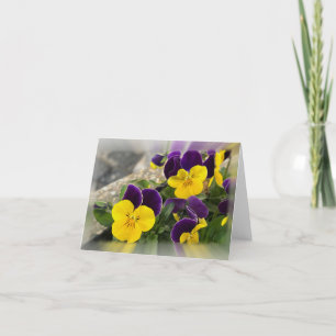 Tarjeta Festiva Pansias violetas amarillas