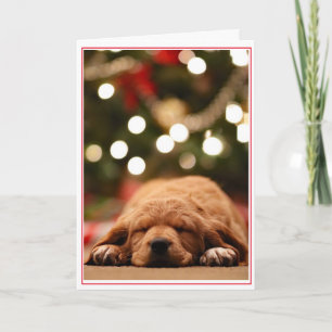 Tarjeta Festiva ¿Papá Noel Nunca Vendrá?
