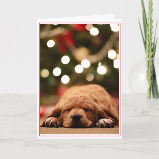 Tarjeta Festiva ¿Papá Noel Nunca Vendrá? (Anverso)