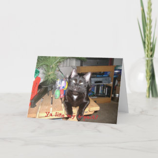 Tarjeta Festiva Paquete de 6 líneas felinas