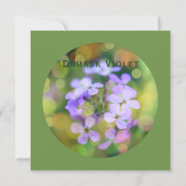 Tarjeta Festiva Paquete de flores violeta de Damask sobre verde de