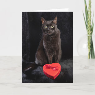 Tarjeta Festiva Para cualquier persona feliz día de San Valentín l
