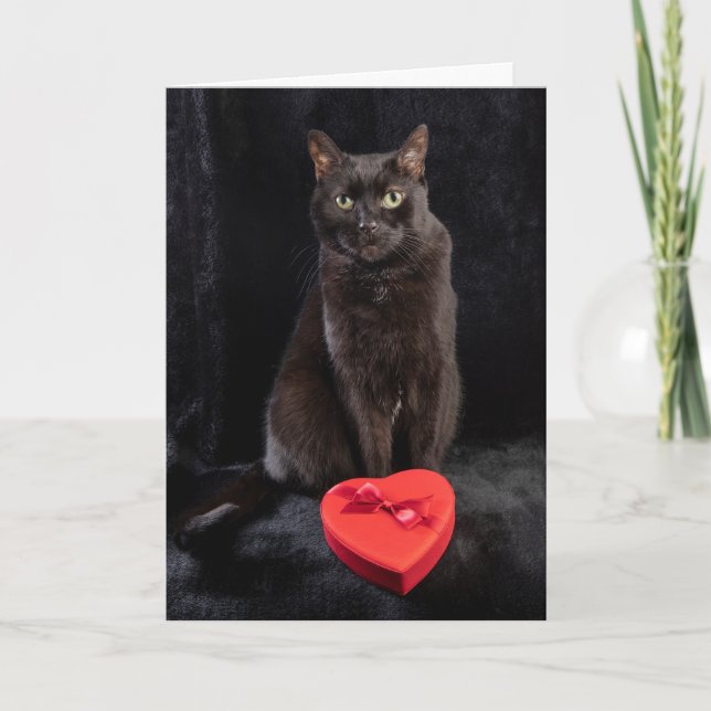Tarjeta Festiva Para cualquiera feliz día de San Valentín lindo ga (Anverso)