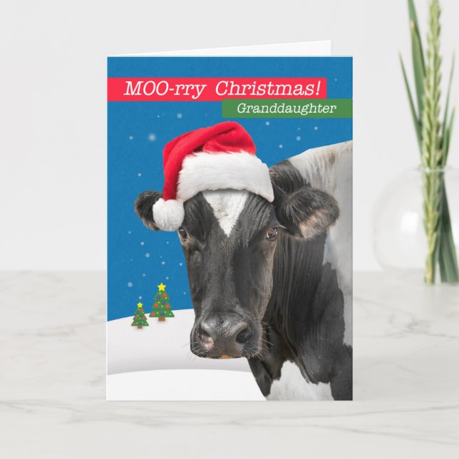Tarjeta Festiva Para la nieta Merry Christmas Funny Cow Humor (Anverso)