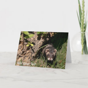 Tarjeta Festiva Para los bebés. Ferrets de sables